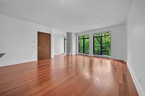 Living Room - P1-302-3419 Av. Henri-Julien, Montréal (Le Plateau-Mont-Royal), QC - Indoor