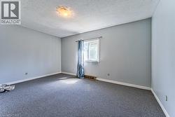 Spacious room featuring light gray walls, plush gray carpeting, and white baseboards - 