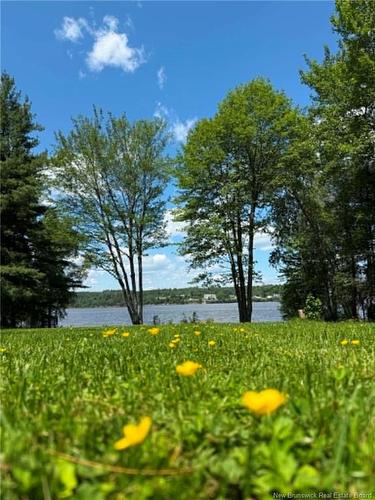 717 Water St, Miramichi, NB 