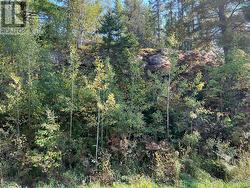 East side rock face - 