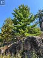 East side rock face - 