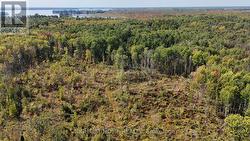 Wood lot on west side - 