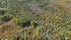 Ridge on west side - 