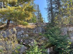 East side rock face - 