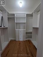 Walk-in Closet - 
