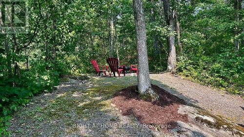 29 Maple Ridge - 1336 South Morrison Lake Road, Gravenhurst, ON - Outdoor