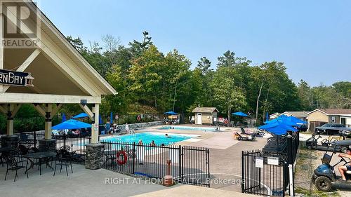29 Maple Ridge - 1336 South Morrison Lake Road, Gravenhurst, ON - Outdoor With In Ground Pool