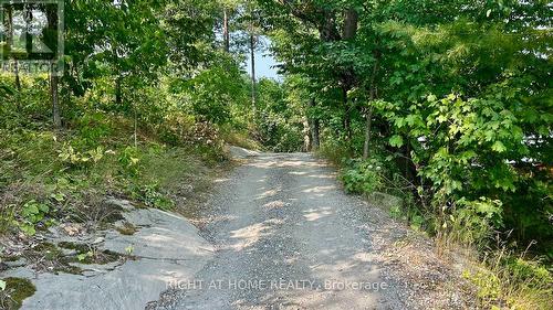29 Maple Ridge - 1336 South Morrison Lake Road, Gravenhurst, ON - Outdoor