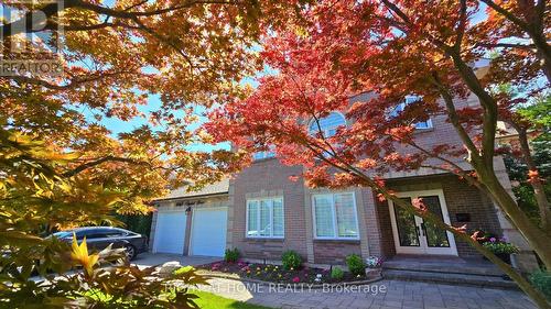 Landscaped Front Garden and Mature Trees - 1665 Asgard Drive, Mississauga, ON - Outdoor