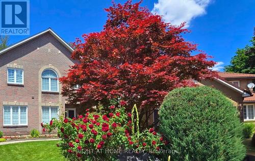 Custom Home Framed by Front Garden and Trees - 1665 Asgard Drive, Mississauga, ON - Outdoor