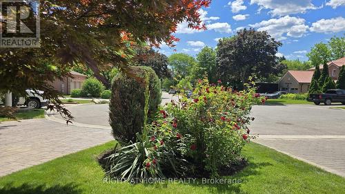 Perennial Plants for Simple Maintenance - 1665 Asgard Drive, Mississauga, ON - Outdoor With View