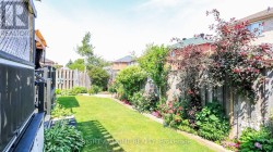 Perennial's are beautiful - 