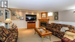 Rec Room/Family Room Gas Fireplace - 