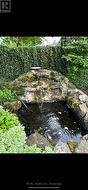 Pond in backyard - 