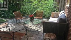 Rear Yard - 
