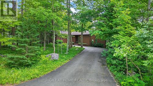 5 Pine Point, Oro-Medonte, ON - Outdoor