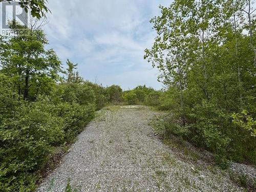 655 Pleasant Beach Road, Port Colborne (Sherkston), ON 