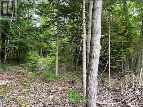 73 Lesperance Road, Tiny, ON 