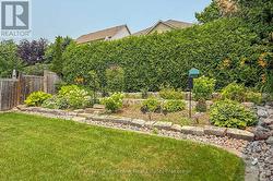 Cedar Hedge for Privacy - 