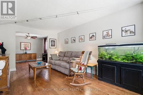 33 Benson Avenue, Mississauga, ON - Indoor Photo Showing Living Room