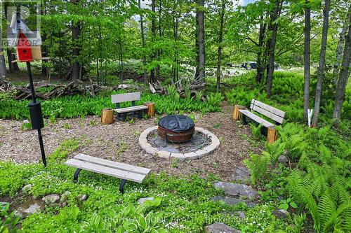 13 Alpine Way, Oro-Medonte, ON - Outdoor