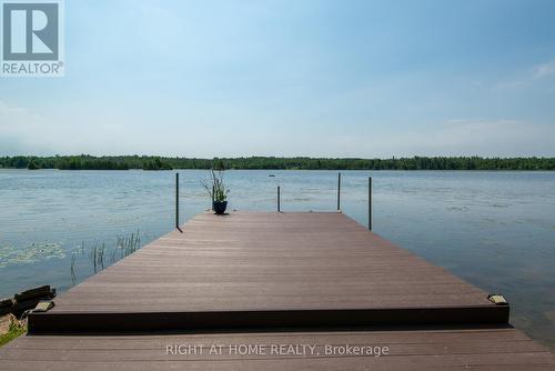 203 MCGUIRE BEACH ROAD  Kawartha Lakes, ON K0M 2B0