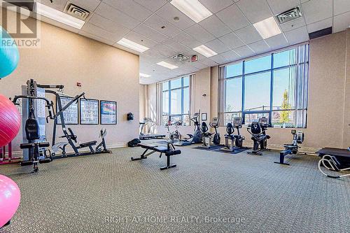 318 - 40 Via Rosedale, Brampton, ON - Indoor Photo Showing Gym Room