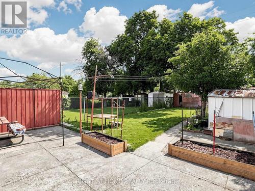 227 Apache Trail, Toronto, ON - Outdoor With Backyard