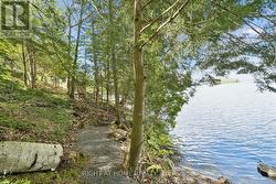 Path From Beach to Dock - 