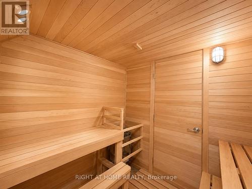 Sauna room other view - 1049 Greaves Avenue, Mississauga, ON - Indoor Photo Showing Other Room
