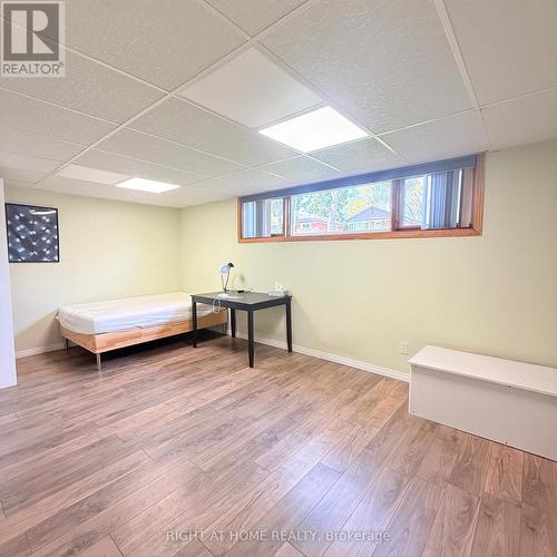 82 Blackwood Crescent, Hamilton, ON - Indoor Photo Showing Basement