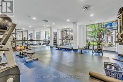 Gym - 
