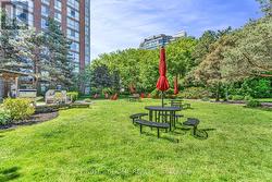 Garden area - 
