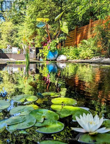4299 Lakeshore Road, Burlington, ON - Outdoor