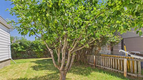 217 6Th Avenue, Cranbrook, BC - Outdoor
