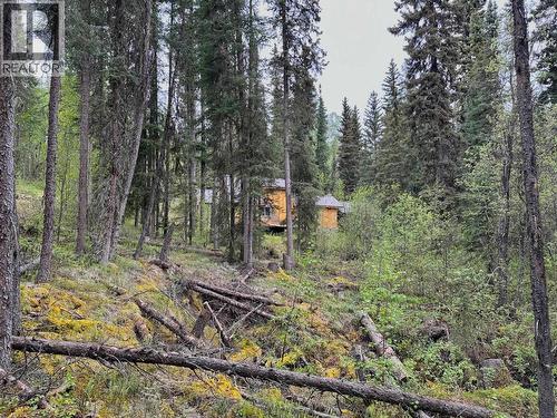 Tetsa River Access Road, Fort Nelson, BC 