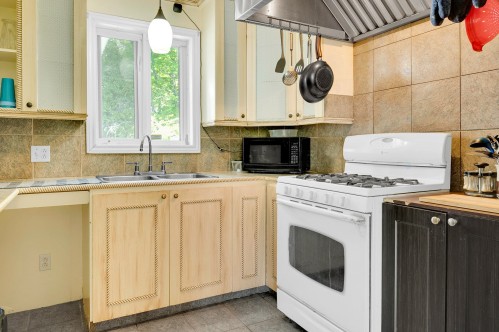 Cuisine - 41Z Rue Richer, Saint-Hippolyte, QC - Indoor Photo Showing Kitchen With Double Sink