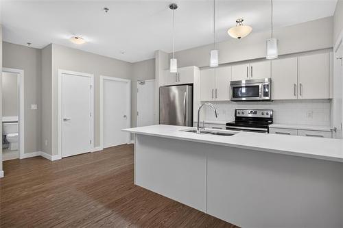 303-25 Van Hull Way, Winnipeg, MB - Indoor Photo Showing Kitchen With Double Sink With Upgraded Kitchen