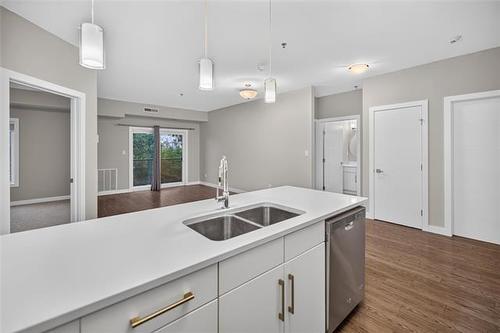 303-25 Van Hull Way, Winnipeg, MB - Indoor Photo Showing Kitchen With Double Sink