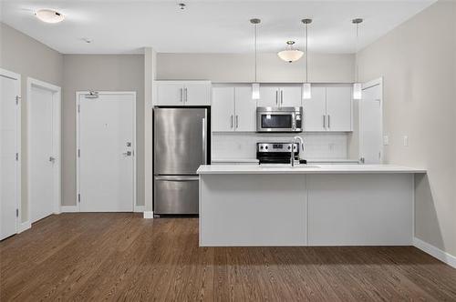 303-25 Van Hull Way, Winnipeg, MB - Indoor Photo Showing Kitchen