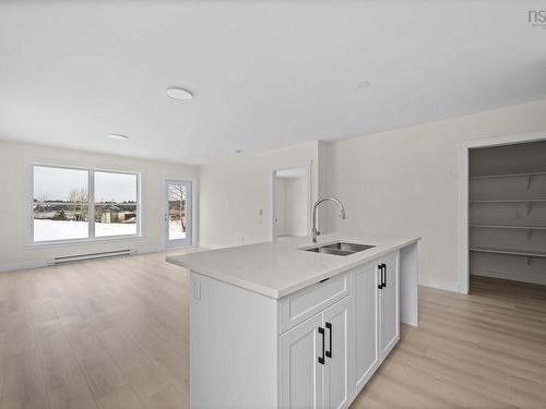 202 Sailors Trail, Eastern Passage, NS - Indoor Photo Showing Kitchen With Double Sink