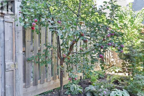 18 Mitchell Avenue, Toronto, ON - Outdoor