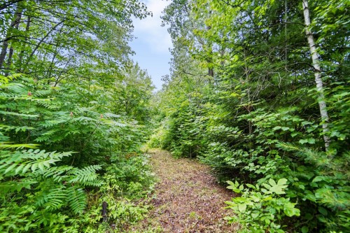 Jardin - 12 Rue Pierre, Saint-Lin/Laurentides, QC - Outdoor