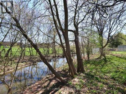 15 Pioneer Drive, Mississauga, ON - Outdoor With View