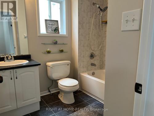 39 Golden Iris Crescent, Hamilton, ON - Indoor Photo Showing Bathroom