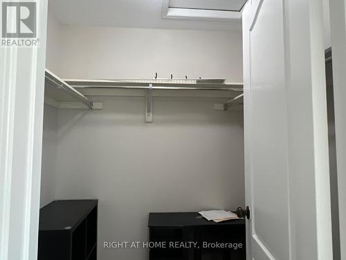 39 Golden Iris Crescent, Hamilton, ON - Indoor With Storage