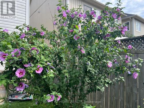 39 Golden Iris Crescent, Hamilton, ON - Outdoor