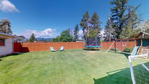 904 9Th Street, Cranbrook, BC - Outdoor With Backyard