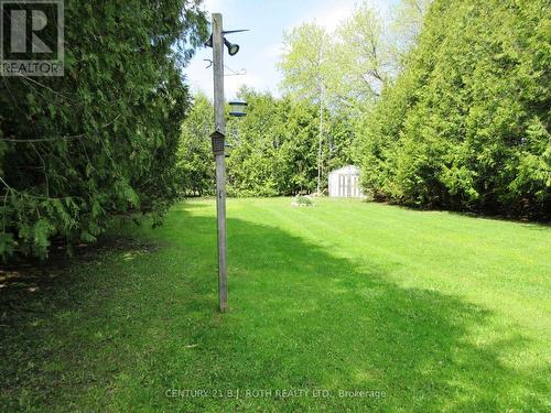 31 River Drive, Essa, ON - Outdoor