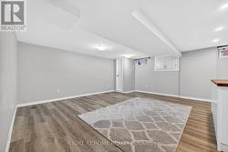 Basement Living Room - 